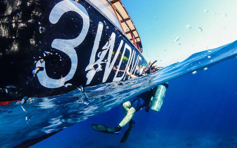 3Wdive-center-image-1