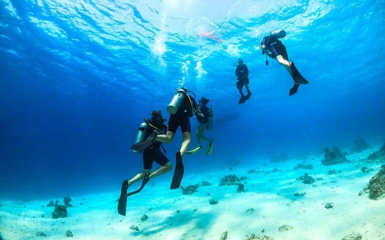 3Wdive-center-image-2