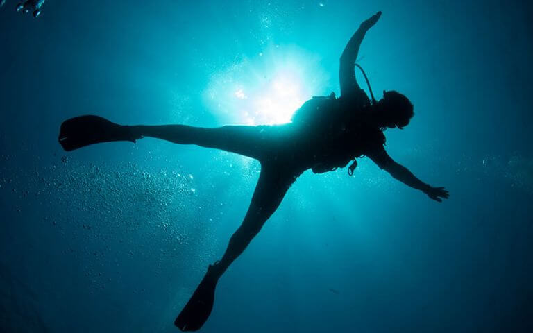 coral-diver-course-intro-and-prerequisites coral-diver-course-intro-and-prerequisites
