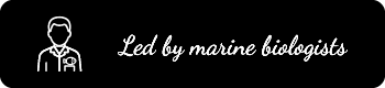 icon-rectangle-black-marine-biologist