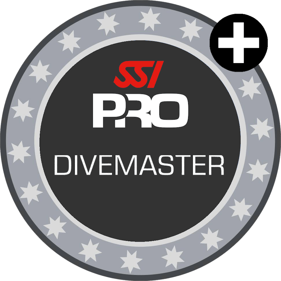 ICC-divemaster-bundle-addon-icon