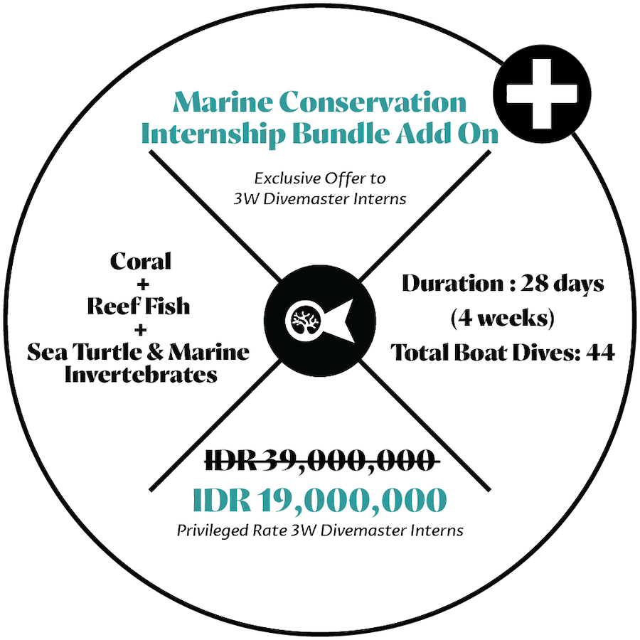 bundle-marine-conservation-exclusive-dmt-addon