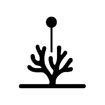 icons-scientific-dive-PIT