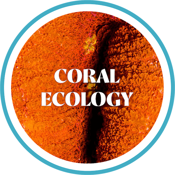 module-coral-ecology-graphic