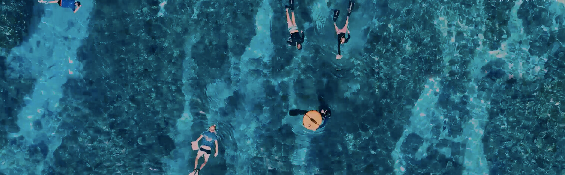 indo-coral-homepage-snorkeling